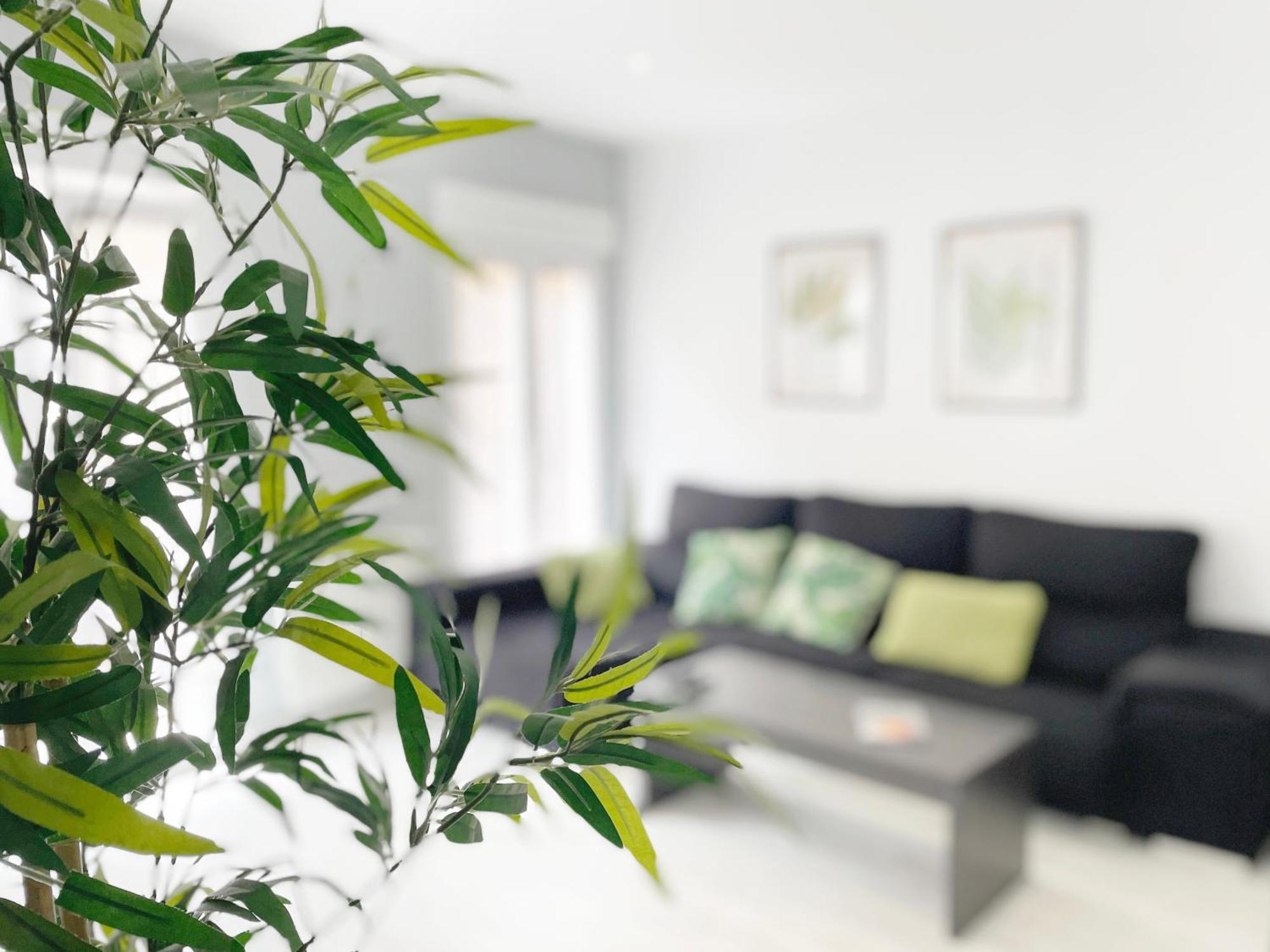 Luminoso Apartamento En Pleno Centro De Santander Ngoại thất bức ảnh
